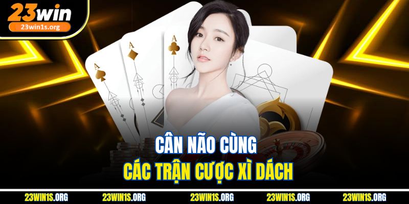 Cân não cùng các trận cược xì dách