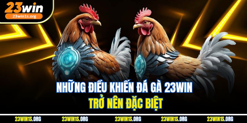 Những điều khiến đá gà 23WIN trở nên đặc biệt