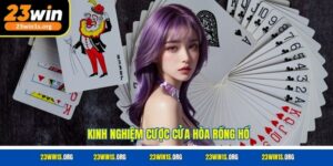 Kinh nghiệm cược cửa hòa rồng hổ
