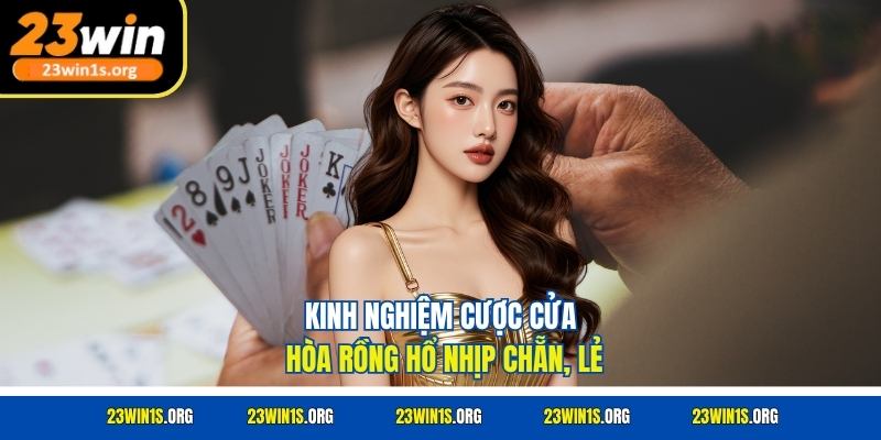 Kinh nghiệm cược cửa hòa rồng hổ nhịp chẵn, lẻ
